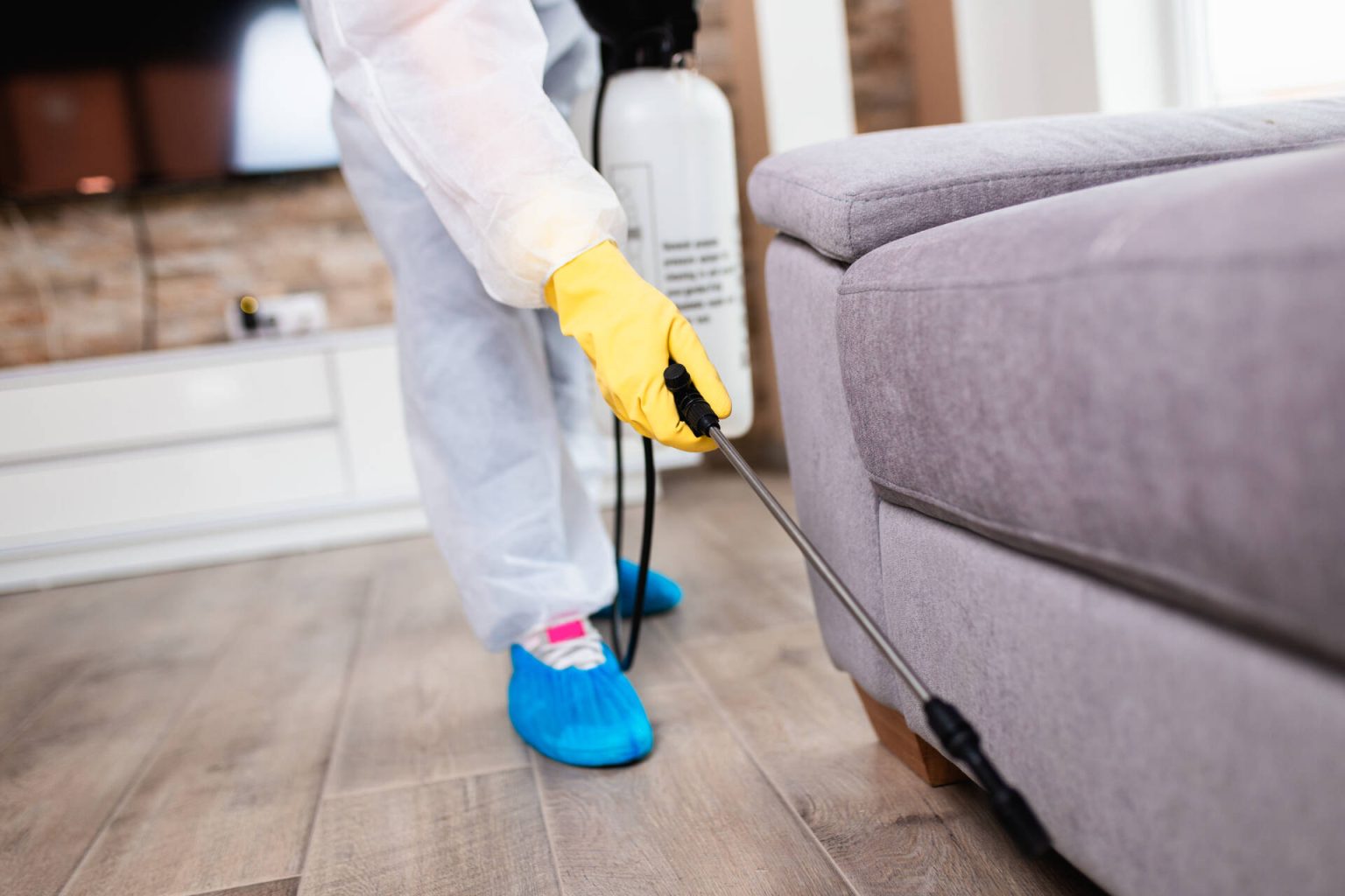 Home - Click Clean & Pest Control